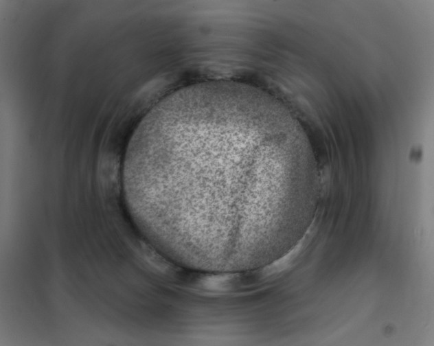 X0000101440178200808041223