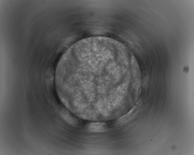 X0000101440179200808041223