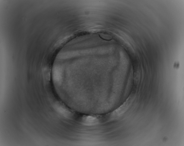 X0000101440180200808041223