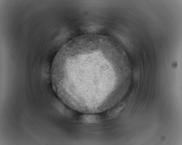 X0000101440181200808041223