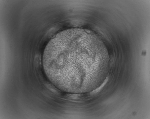 X0000101440182200808041223