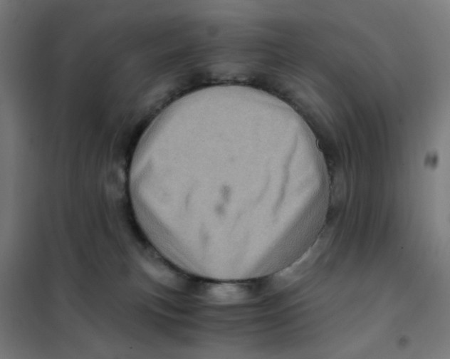 X0000101440183200808041223