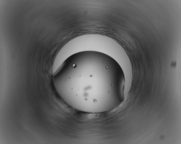 X0000101440184200808041223