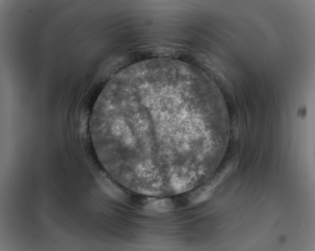 X0000101440185200808041223