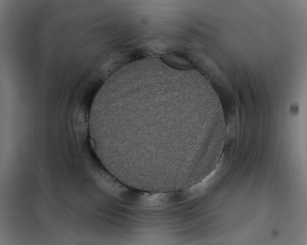 X0000101440186200808041223