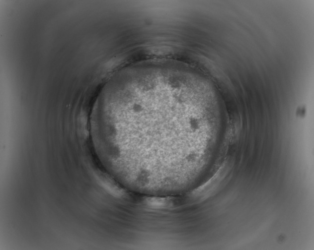 X0000101440187200808041223