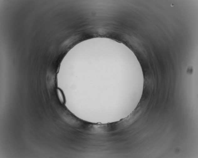 X0000101440188200808041223