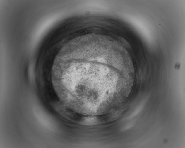 X0000101440189200808041223