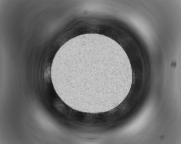 X0000101440190200808041223