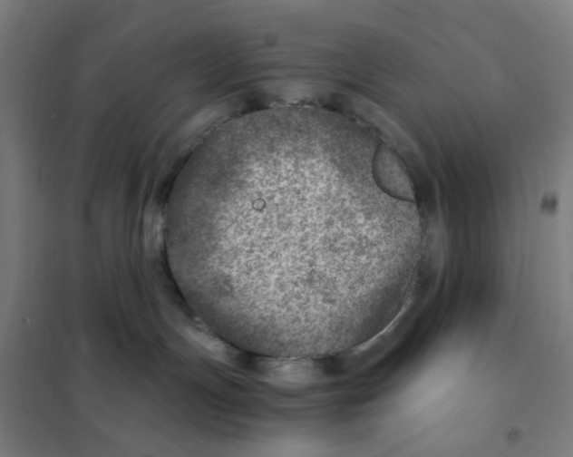 X0000101440191200808041223