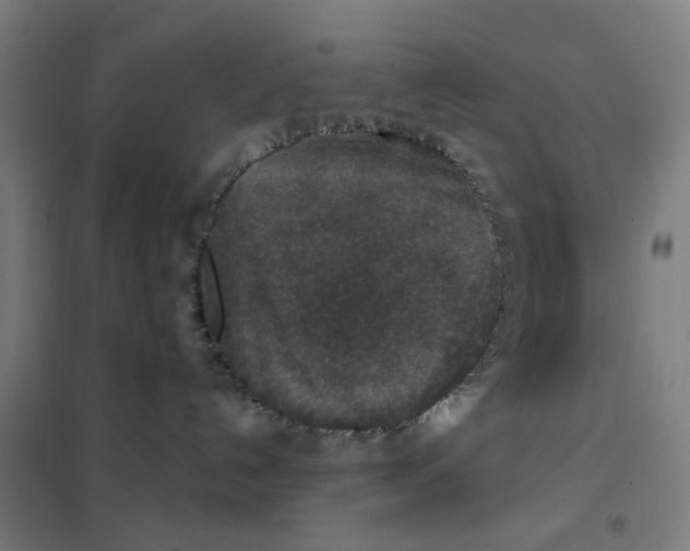 X0000101440192200808041223