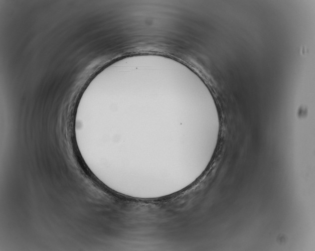 X0000101440193200808041222