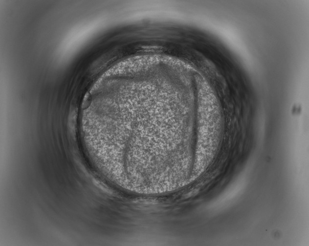 X0000101440194200808041222