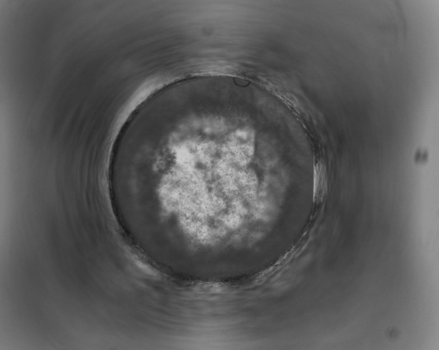 X0000101440195200808041222