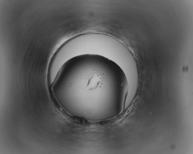 X0000101440196200808041222