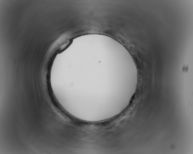 X0000101440197200808041222