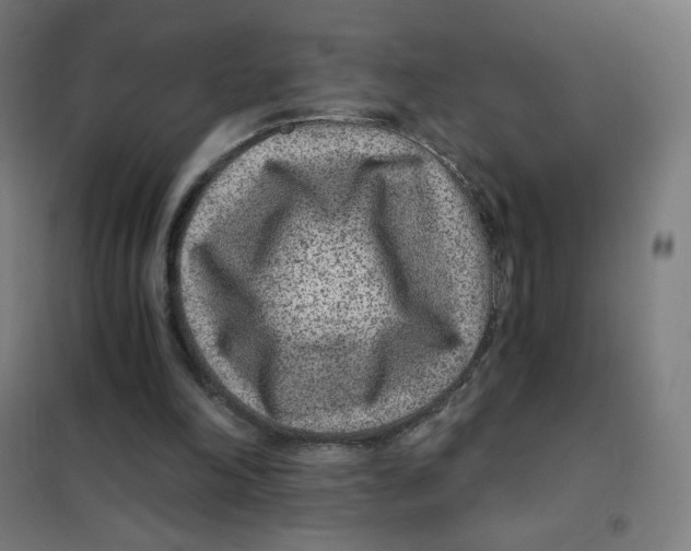 X0000101440198200808041222