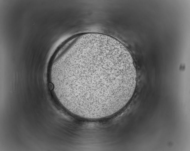 X0000101440200200808041222