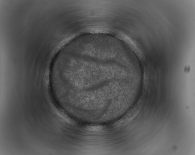 X0000101440202200808041222
