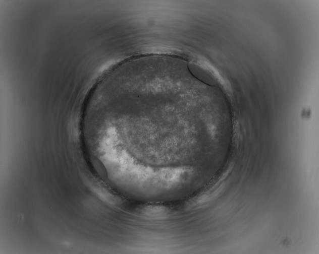 X0000101440203200808041222