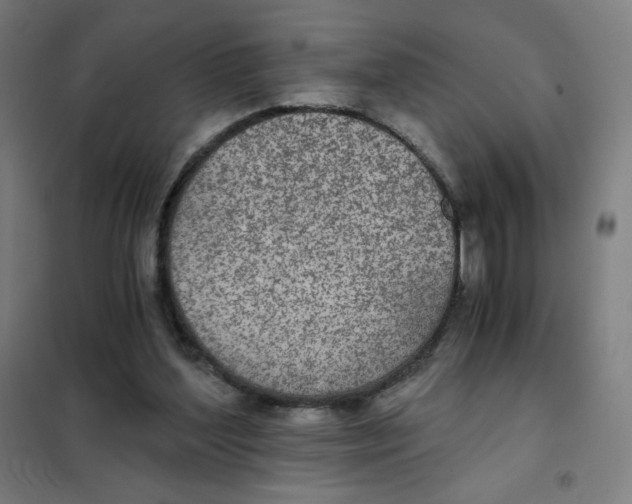 X0000101440204200808041222