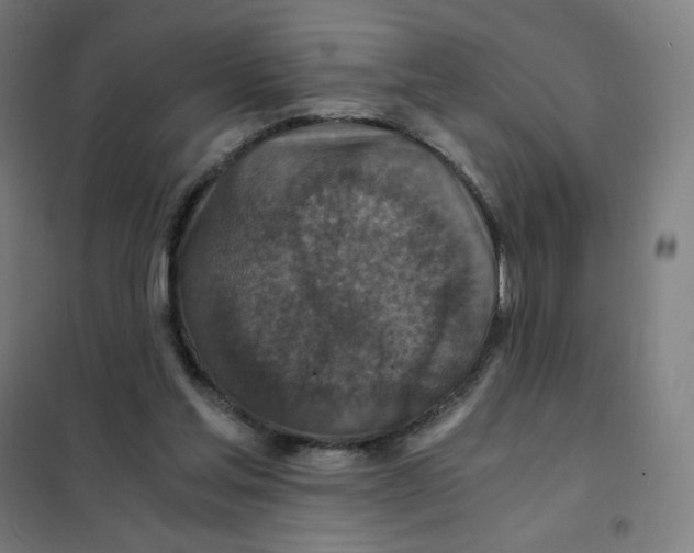 X0000101440205200808041222