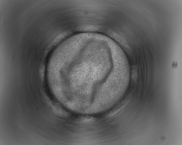 X0000101440206200808041222