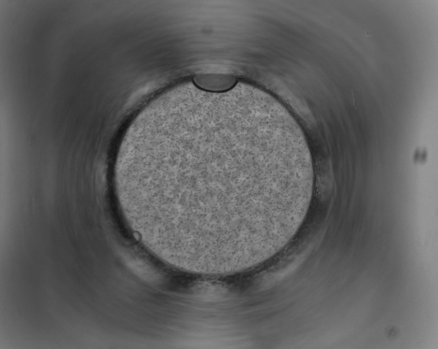 X0000101440207200808041222