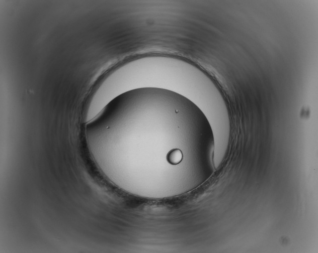 X0000101440208200808041222