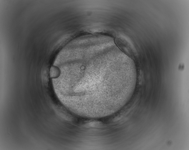 X0000101440210200808041222