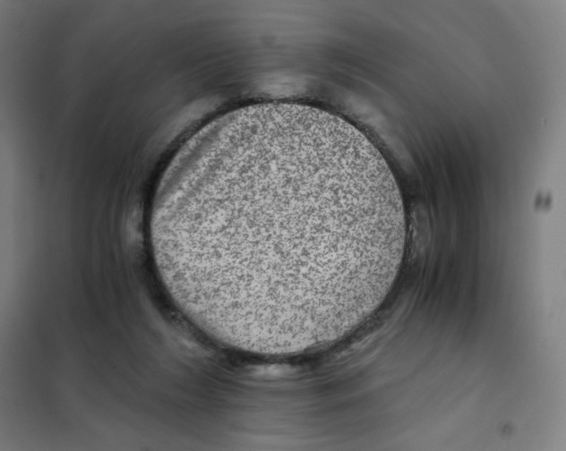 X0000101440212200808041222
