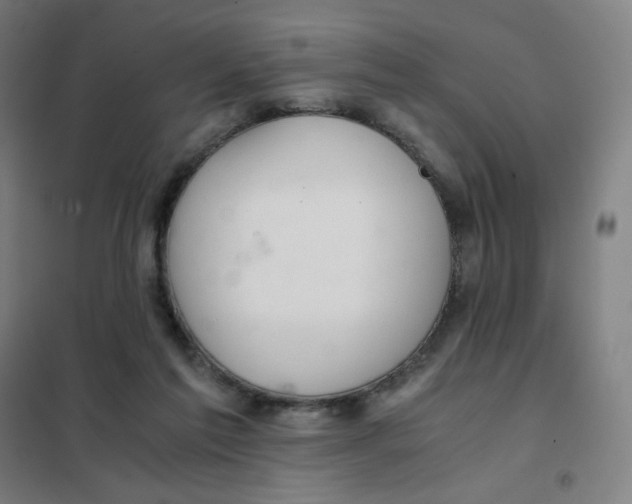 X0000101440213200808041222
