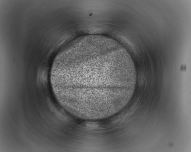 X0000101440214200808041222
