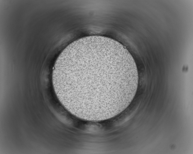 X0000101440215200808041222