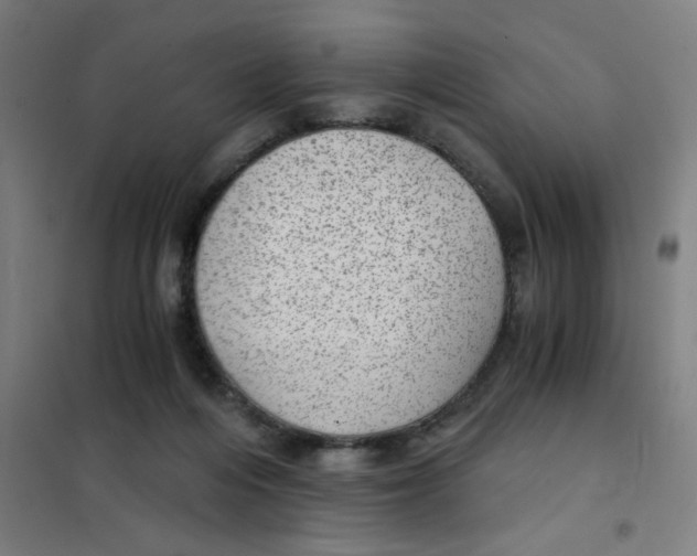 X0000101440216200808041222