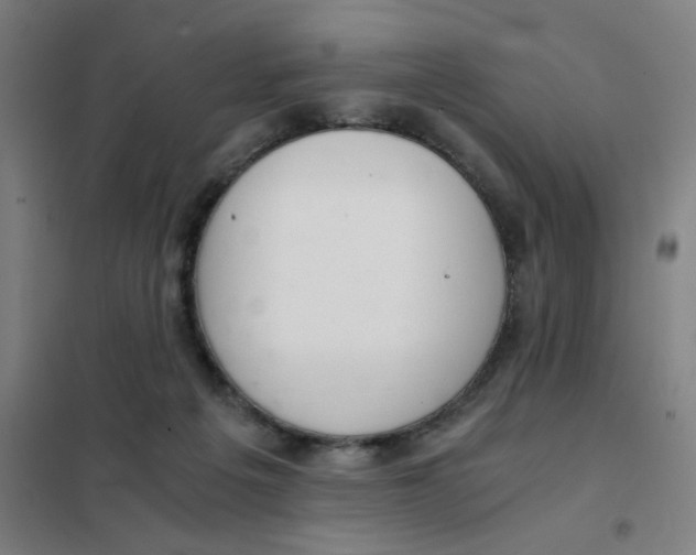 X0000101440217200808041222