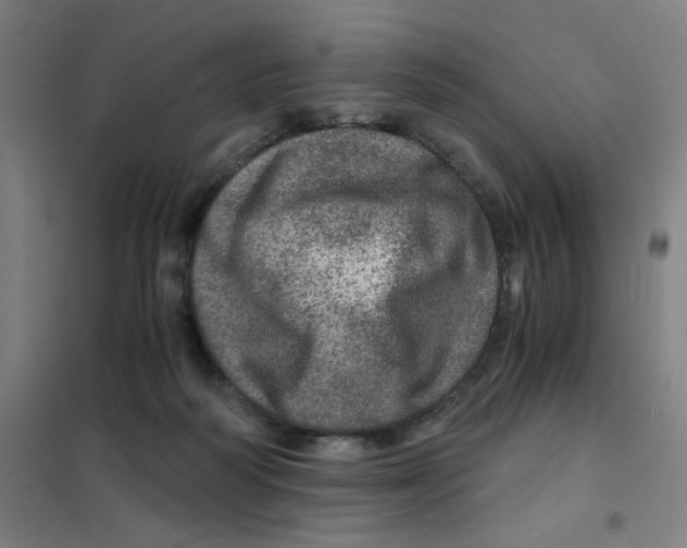 X0000101440218200808041222