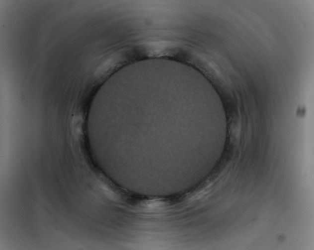X0000101440219200808041222