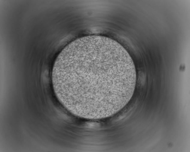 X0000101440220200808041222