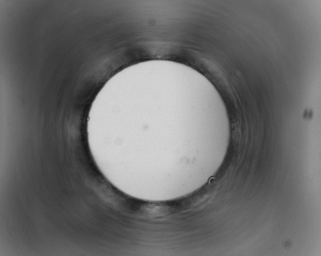 X0000101440221200808041222