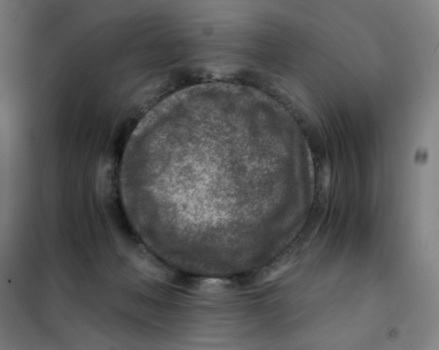 X0000101440222200808041222