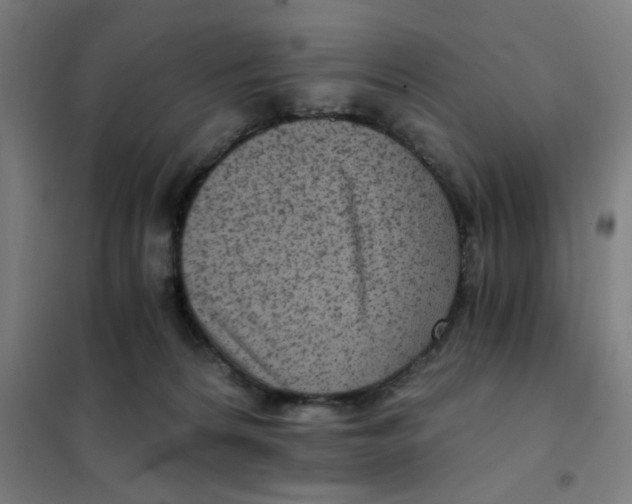 X0000101440224200808041222