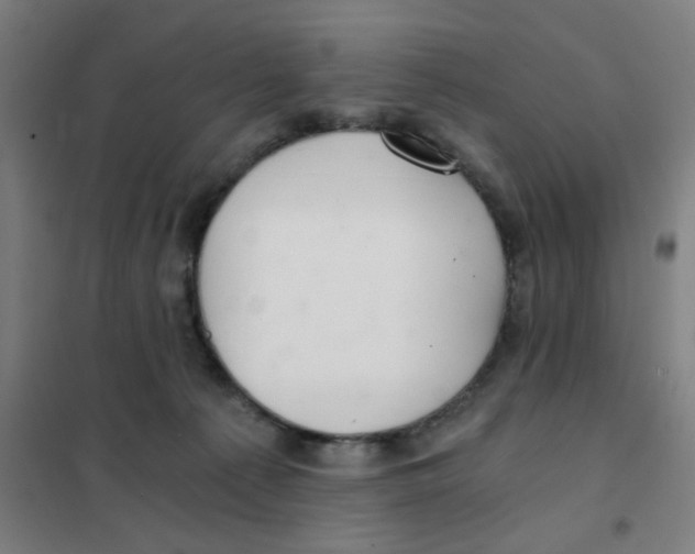 X0000101440225200808041222