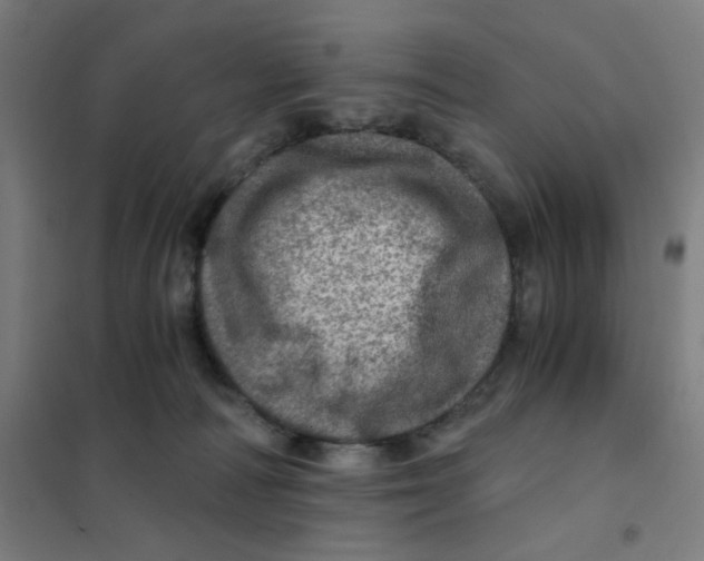 X0000101440226200808041222