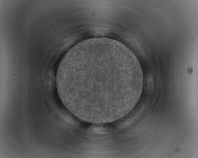X0000101440228200808041222
