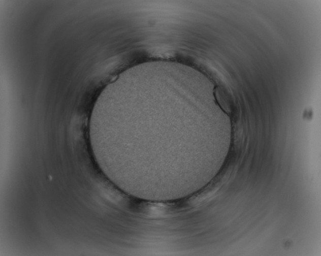X0000101440229200808041222