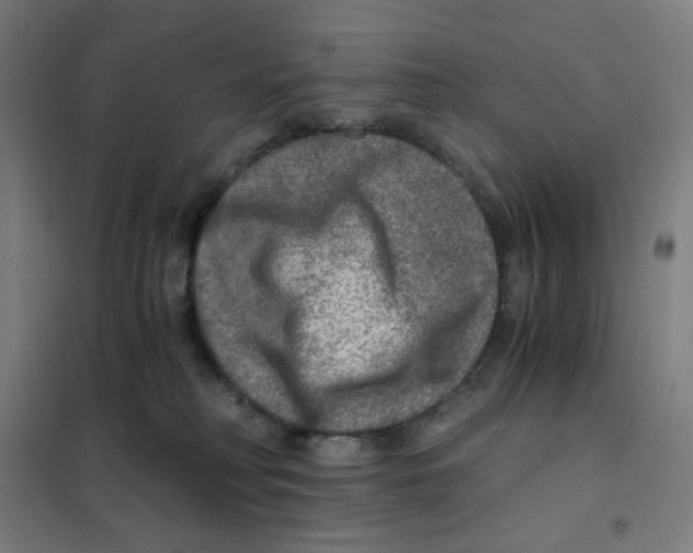 X0000101440230200808041222