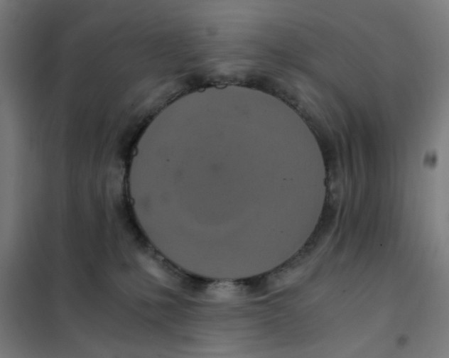 X0000101440231200808041222