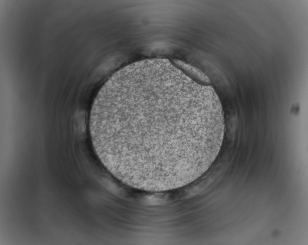 X0000101440232200808041222