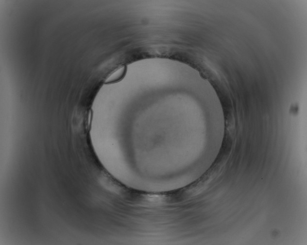 X0000101440233200808041222